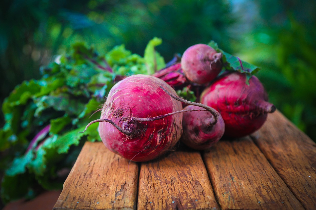 Red Beet Viablecultures