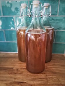 kombucha tea